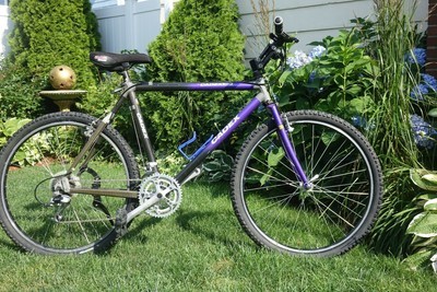 giant moda 20 inch