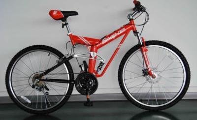 bicycle 21 inch frame